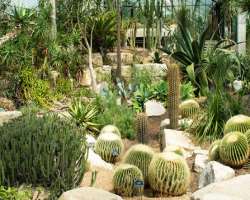 About ten different climates are maintained at the Princess of Wales conservatory situated in the garden. Here you can find from the dry topics to wet